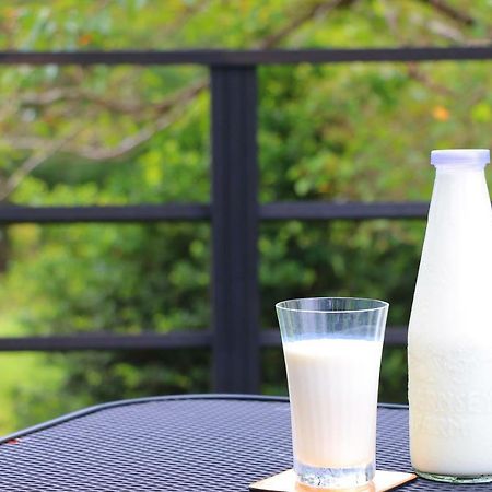 The Guernsey酒店度假村 竹田 外观 照片